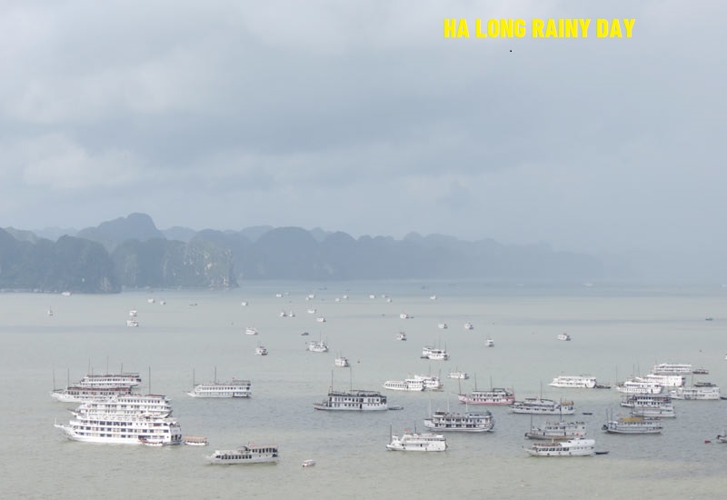 Rainy day in Halong 